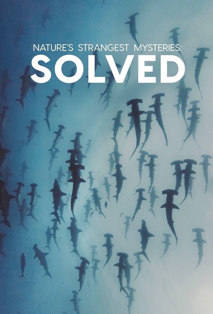 Solved